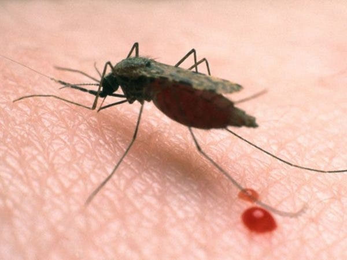 malaria kills many people per day