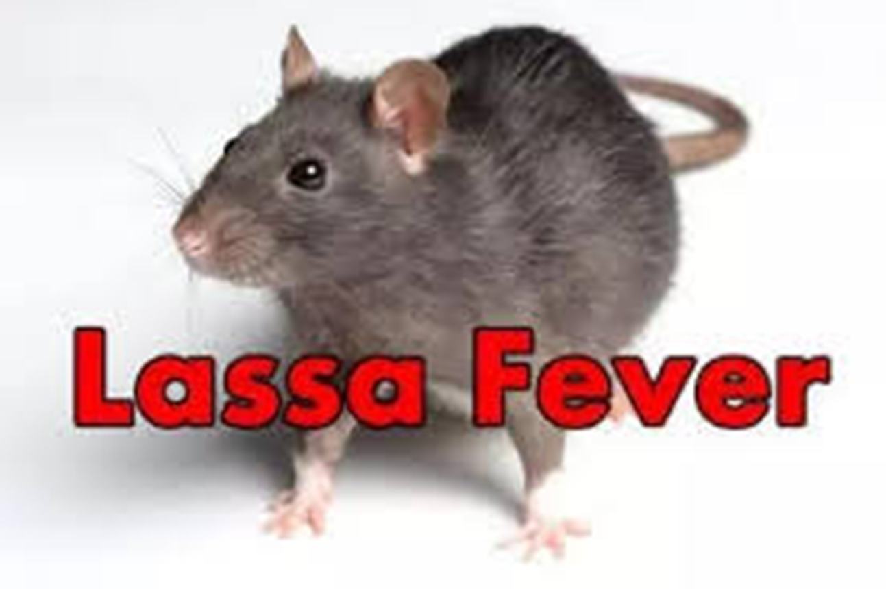 lassa fever 1