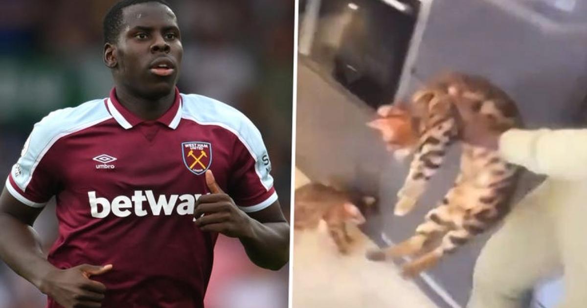 kurt zouma cat west ham