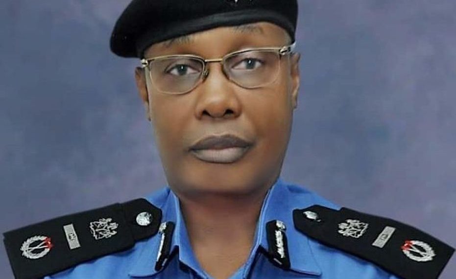 acting igp usman alkali baba