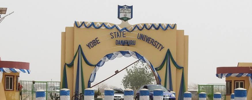 yobe state university